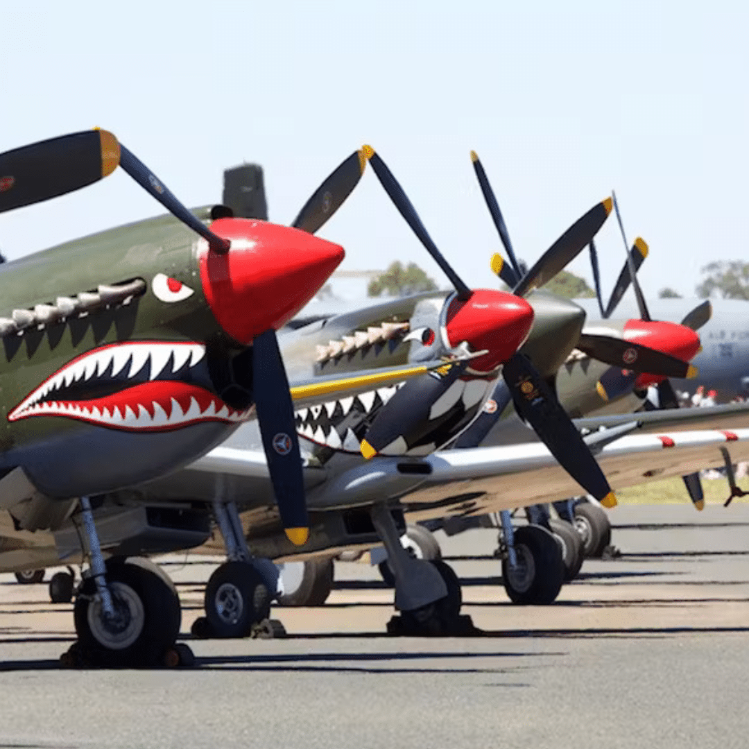 Warbirds Downunder